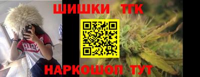 крисы Моздок